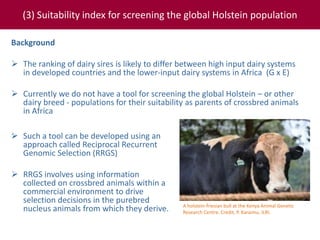 Tropical dairy genomics 
