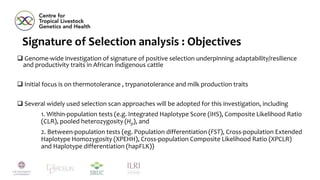  Genome-wide investigation of signature of positive selection underpinning adaptability/resilience
and productivity traits in African indigenous cattle
 Initial focus is on thermotolerance , trypanotolerance and milk production traits
 Several widely used selection scan approaches will be adopted for this investigation, including
1. Within-population tests (e.g. Integrated Haplotype Score (iHS), Composite Likelihood Ratio
(CLR), pooled heterozygosity (Hp), and
2. Between-population tests (eg. Population differentiation (FST), Cross-population Extended
Haplotype Homozygosity (XPEHH), Cross-population Composite Likelihood Ratio (XPCLR)
and Haplotype differentiation (hapFLK))
Signature of Selection analysis : Objectives
 