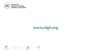 African cattle genomic reference resource, SNP assays, and signatures of selection