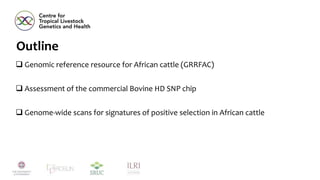African cattle genomic reference resource, SNP assays, and signatures of selection