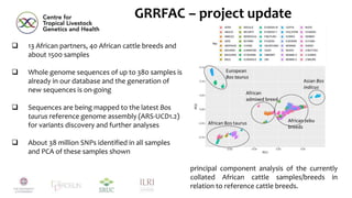 African cattle genomic reference resource, SNP assays, and signatures of selection