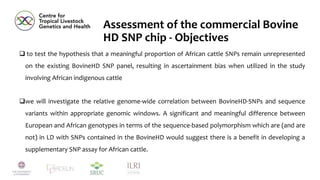 African cattle genomic reference resource, SNP assays, and signatures of selection