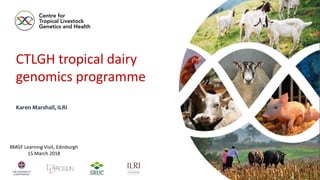 CTLGH tropical dairy
genomics programme
Karen Marshall, ILRI
BMGF Learning Visit, Edinburgh
15 March 2018
 