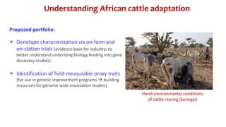 CTLGH tropical dairy genomics programme 