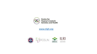CTLGH tropical dairy genomics programme 
