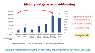 CTLGH tropical dairy genomics programme 