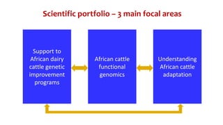 CTLGH tropical dairy genomics programme 