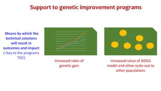 CTLGH tropical dairy genomics programme 