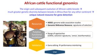 CTLGH tropical dairy genomics programme 