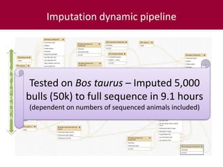 Tropical dairy genomics 