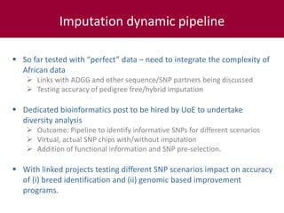 Tropical dairy genomics 