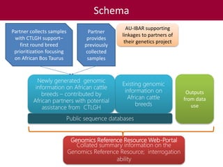 Tropical dairy genomics 