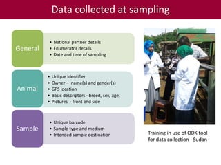 Tropical dairy genomics 