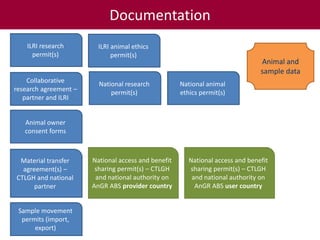 Tropical dairy genomics 