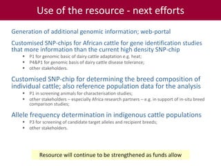 Tropical dairy genomics 