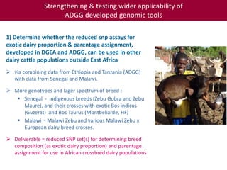 Tropical dairy genomics 