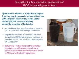 Tropical dairy genomics 
