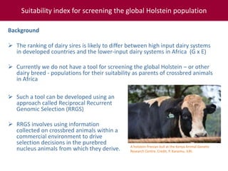 Tropical dairy genomics 