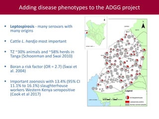 Tropical dairy genomics 