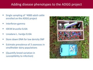 Tropical dairy genomics 