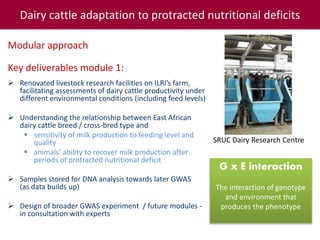 Tropical dairy genomics 