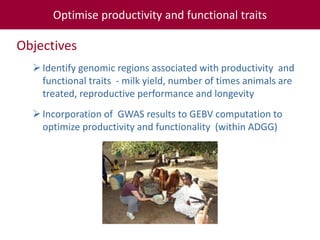 Tropical dairy genomics 