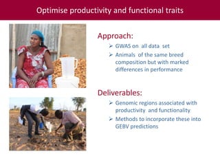 Tropical dairy genomics 