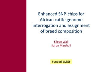 Tropical dairy genomics 