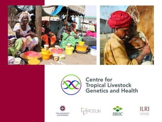 Tropical dairy genomics 