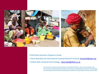 Tropical dairy genomics 