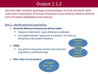 Tropical dairy genomics 