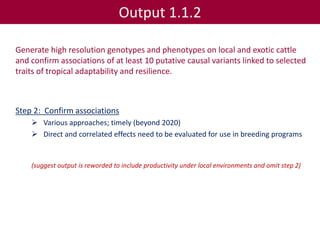 Tropical dairy genomics 