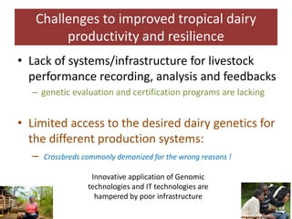 Challenges and opportunities for improved tropical dairy productivity and resilience 