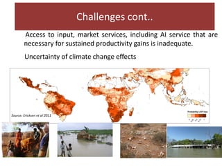Challenges and opportunities for improved tropical dairy productivity and resilience 