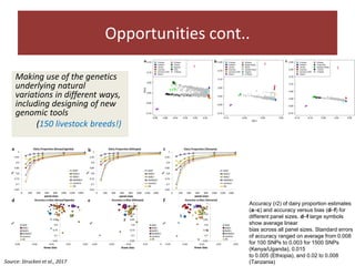 Challenges and opportunities for improved tropical dairy productivity and resilience 