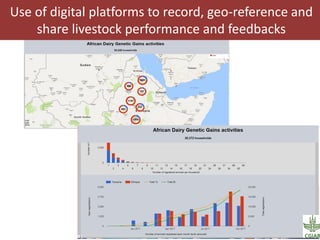 Challenges and opportunities for improved tropical dairy productivity and resilience 