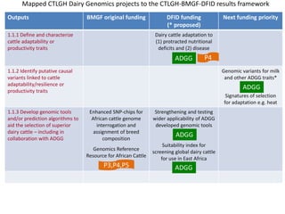 Challenges and opportunities for improved tropical dairy productivity and resilience 