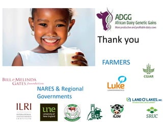 Challenges and opportunities for improved tropical dairy productivity and resilience 