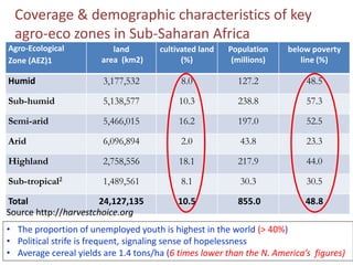 Challenges and opportunities for improved tropical dairy productivity and resilience 