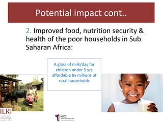 Challenges and opportunities for improved tropical dairy productivity and resilience 