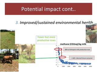 Challenges and opportunities for improved tropical dairy productivity and resilience 