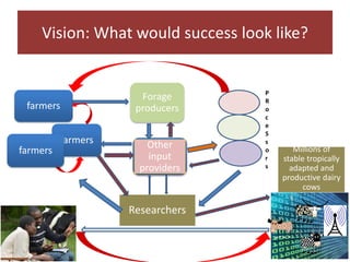 Challenges and opportunities for improved tropical dairy productivity and resilience 
