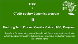 A platform for developing a Long Term Genetic Gains program for tropically-
adapted and farmer preferred chickens for sustainable productivity growth in
sub-Saharan Africa
The Long Term Chicken Genetic Gains (LTGG) Program
CTLGH poultry Genomics program
ACGG
+
 