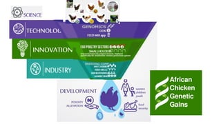 Challenges and opportunities for improved tropical poultry productivity and resilience