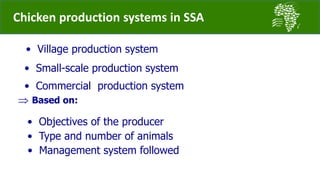 Challenges and opportunities for improved tropical poultry productivity and resilience