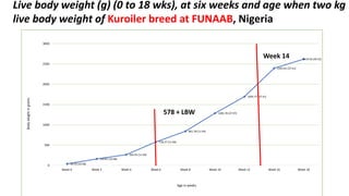 Challenges and opportunities for improved tropical poultry productivity and resilience