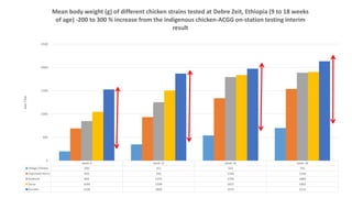Challenges and opportunities for improved tropical poultry productivity and resilience