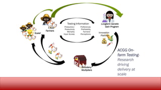 Challenges and opportunities for improved tropical poultry productivity and resilience