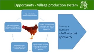 Challenges and opportunities for improved tropical poultry productivity and resilience