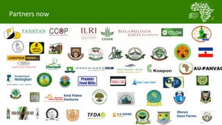 Challenges and opportunities for improved tropical poultry productivity and resilience